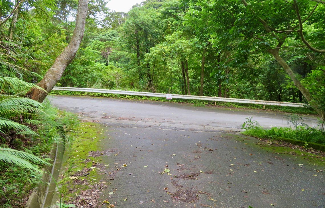 突き当たりまで進むとツリーフルツリーハウスの看板が見えます。この看板を右に曲がってください。