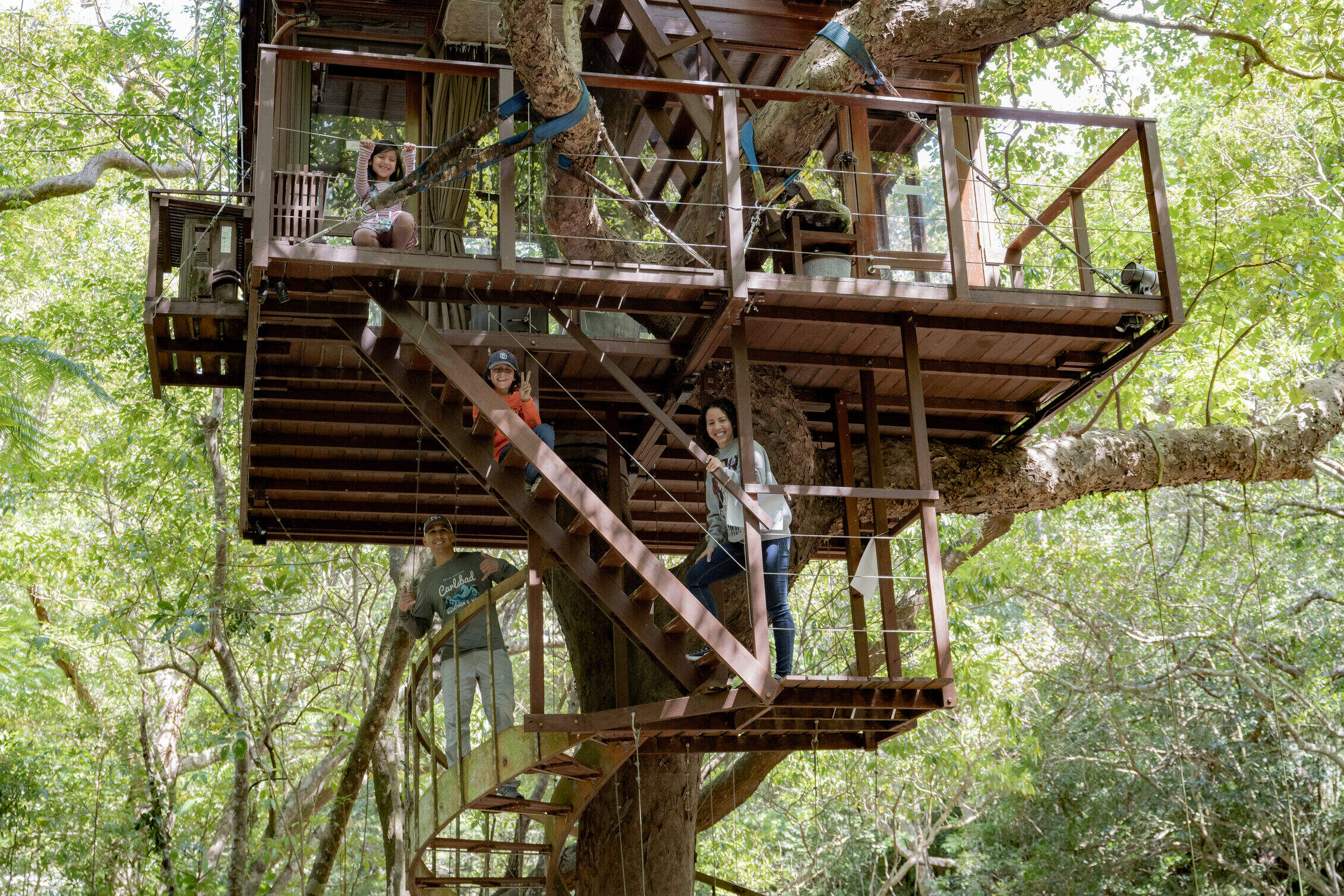 以上をご確認ください。